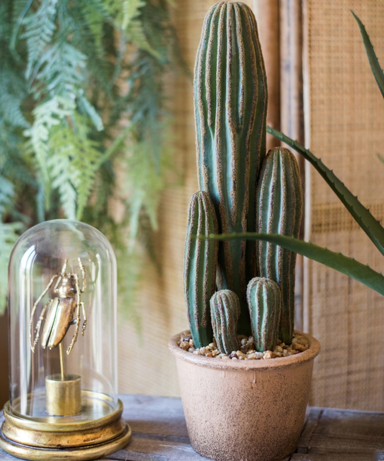 Faux Cactus in Brown Pot