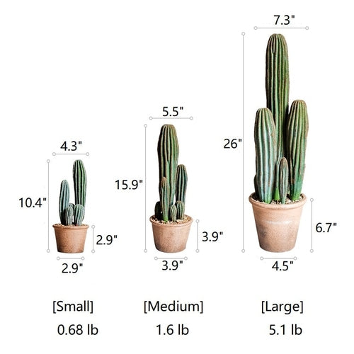 Faux Cactus in Brown Pot