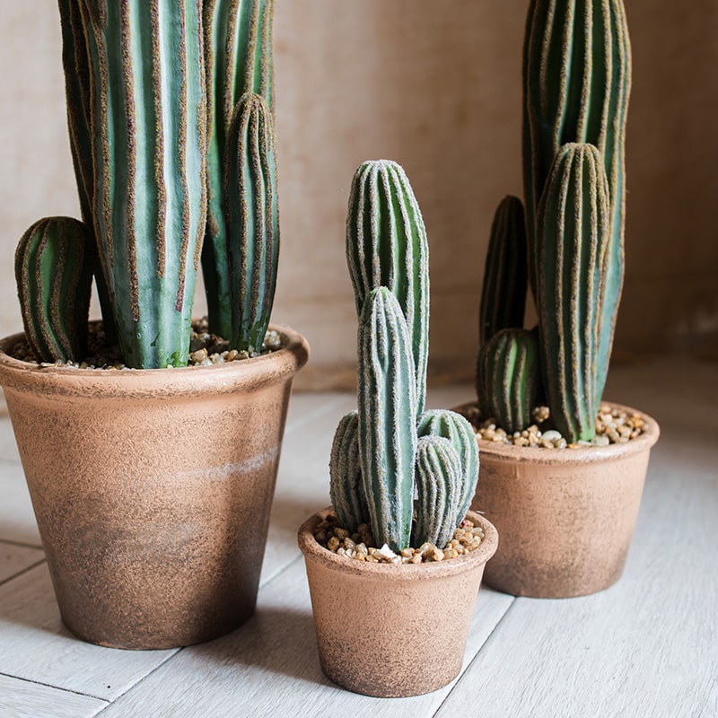 Faux Cactus in Brown Pot