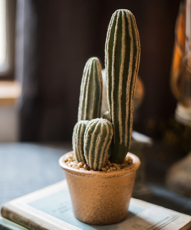Faux Cactus in Brown Pot