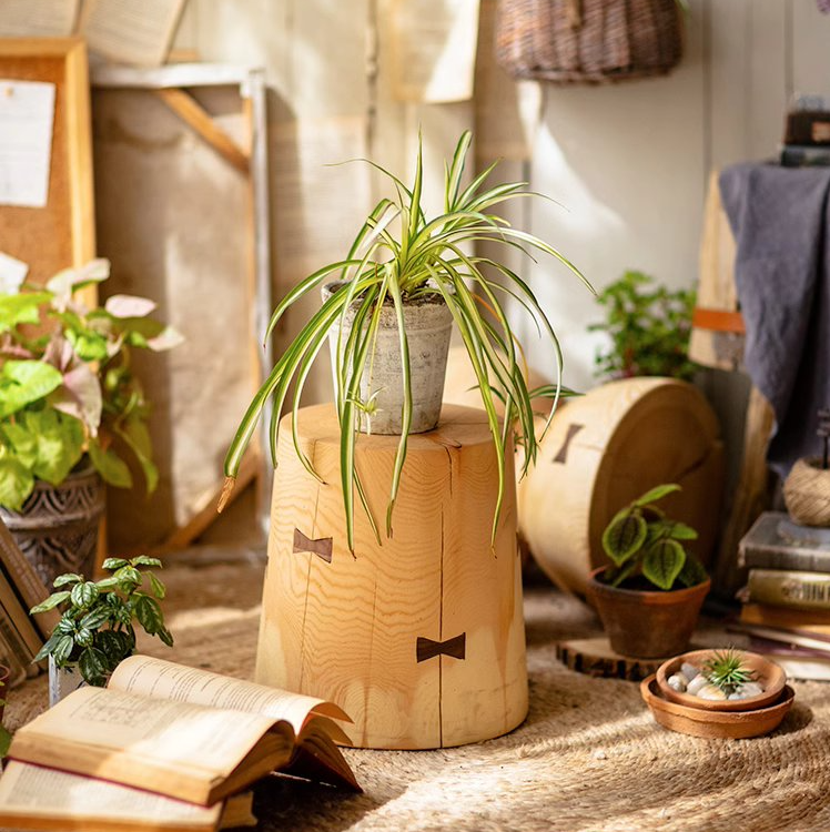 Natural Solid Wood End Table