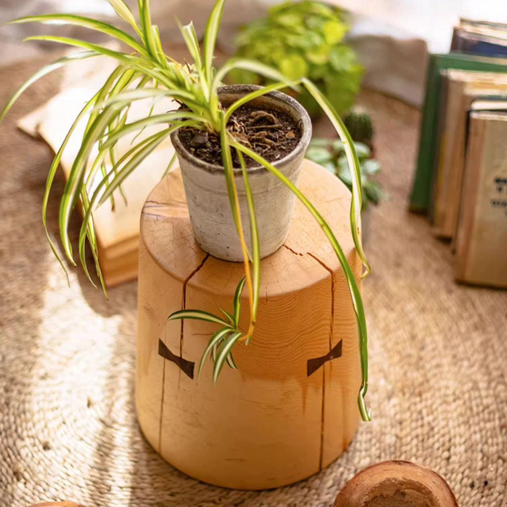 Natural Solid Wood End Table