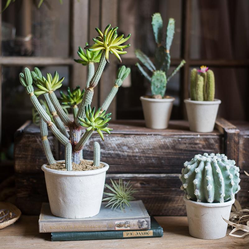 Faux Cactus Bonsai
