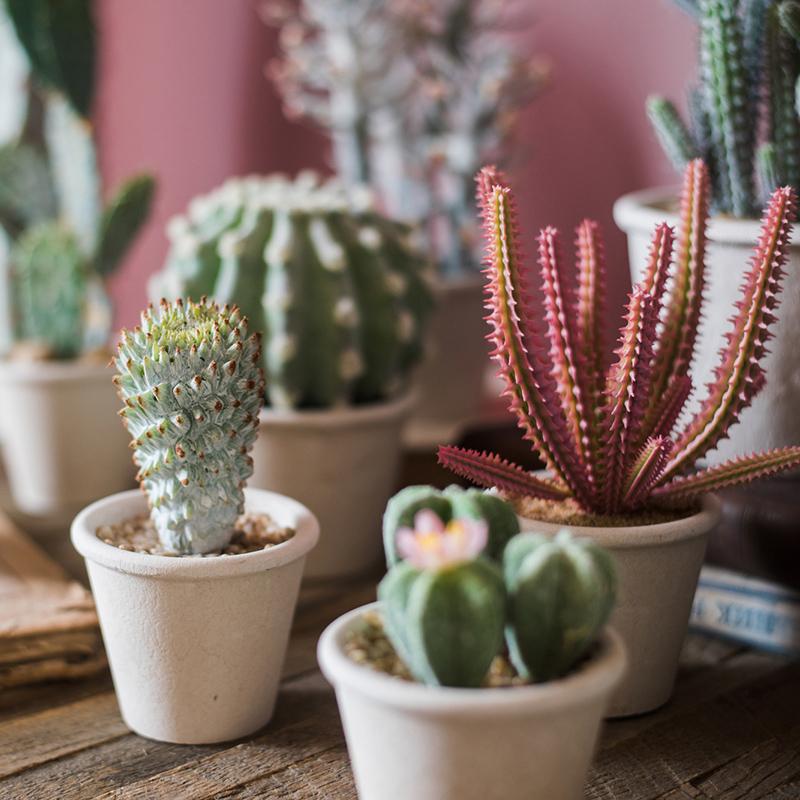 Faux Cactus Bonsai