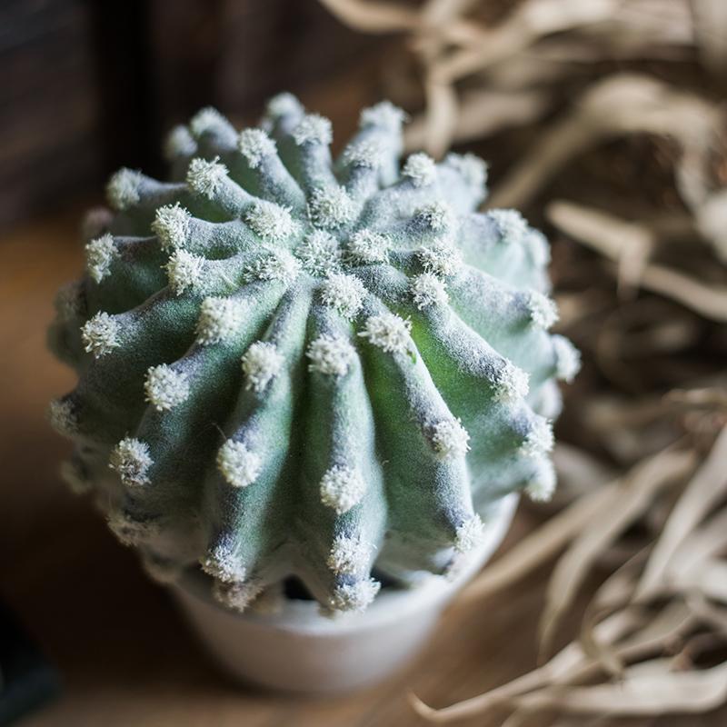 Faux Cactus Bonsai