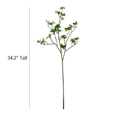 Japanese Zen Leaf Stem