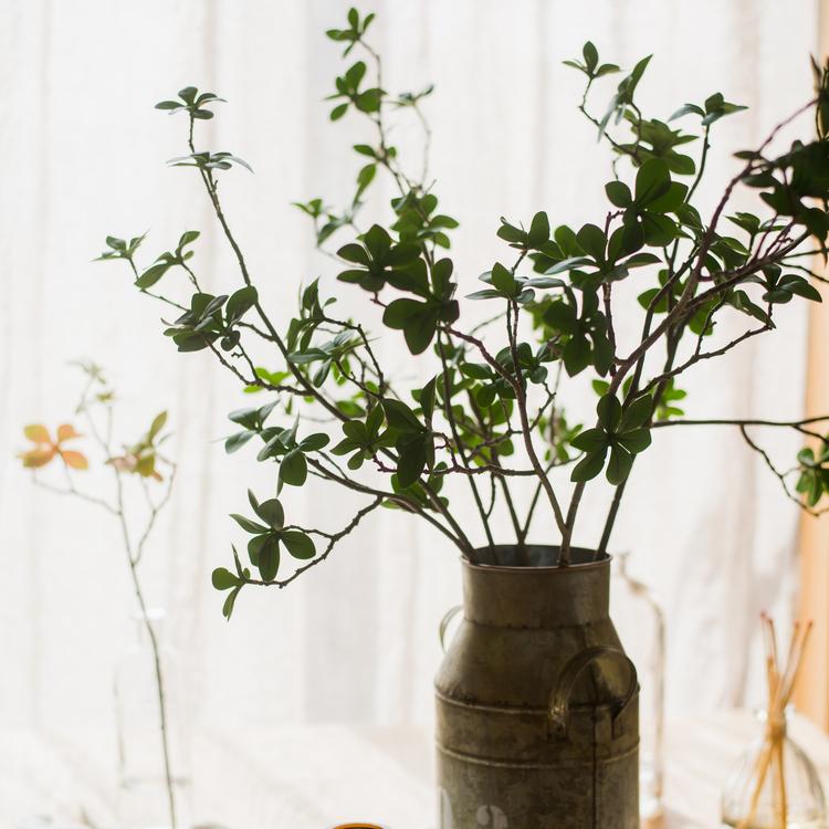 Japanese Zen Leaf Stem