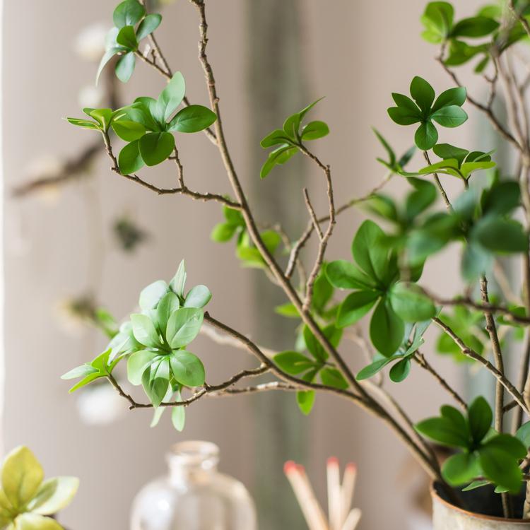 Japanese Zen Leaf Stem